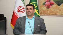 پیشگیری و اقدام به‌موقع؛ کلید حفاظت از محصول گندم در برابر زنگ زرد